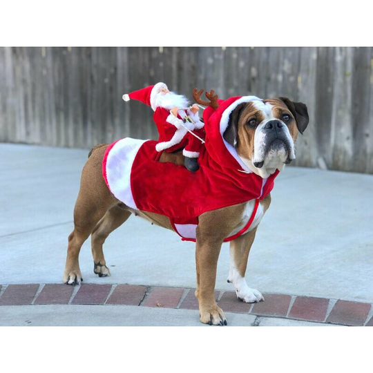 Christmas Dog Coat, with Santa on His Cat Red Christmas Dog Sweater - l