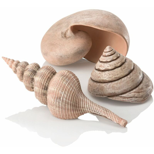 Sea Shells Natural - Biorb