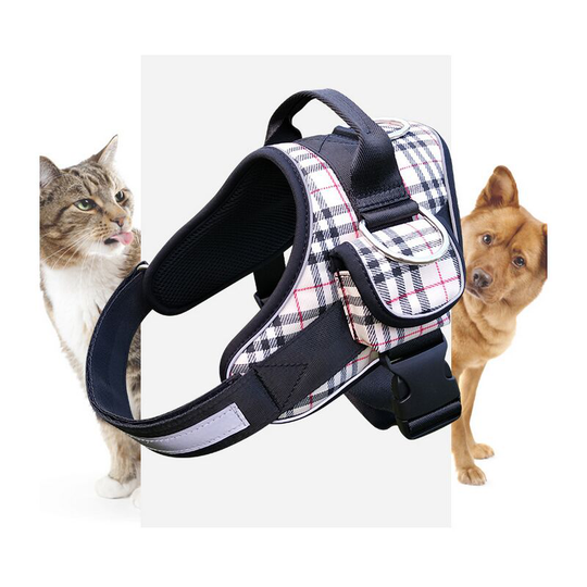 Small Dog Harness and Leash Anti Pull with Bow Tie and Safety Bell for Puppy Chihuahua Yorkshire, Leak Proof Adjustable Harness for Cats/Kitten l