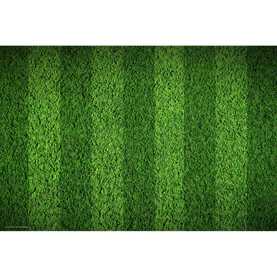 Playing Field Lawn Placemat