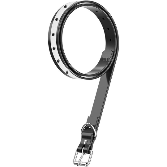 Tpu webbing dog collar compatible with most training shock collar receivers.