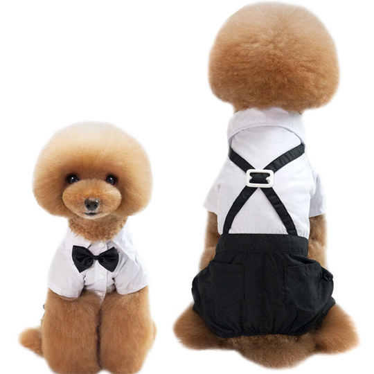 Pet clothes pet suit dog suit pants four-legged pants pet dress dog clothes dog straps xxl (chest - 50 'back length 38' neck circumference 34,)