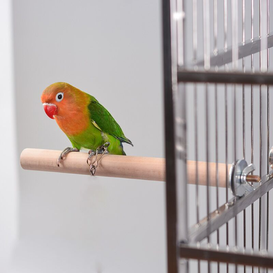 Betterlifegb - perroquet Rod Standing Standing Standing Rod Bird Supplies Bird Cage Parrot Molar Hole Bird Nest Grinding Rod Bird Cage Accessories