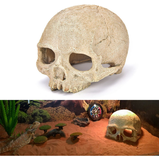 Aquarium Decoration Skull Fish Tank Skeleton Head Aquarium Decorative Cave Landscape Pet Reptile House 11*14*10cm