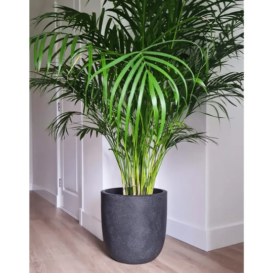 Capi Egg Planter Waste Rib