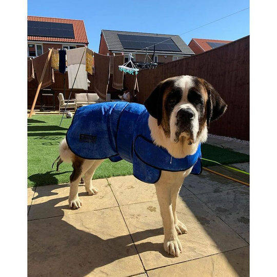 Easidri - Cooling Coat - Xlarge - ?????????