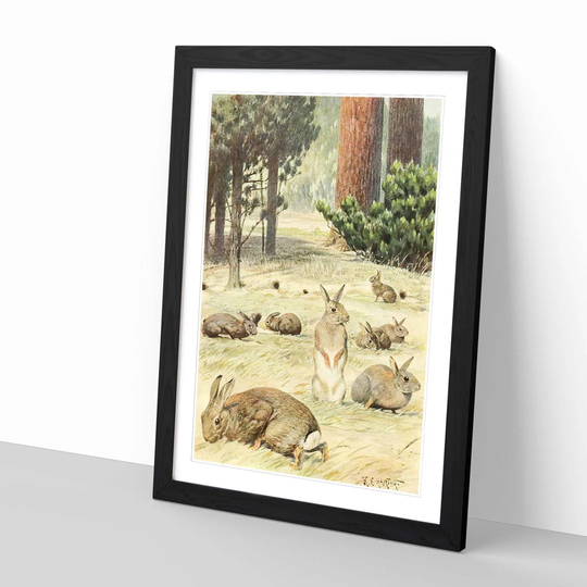 'Vintage Wild Rabbits' by Karl Ludwig Hartig Framed Painting Print