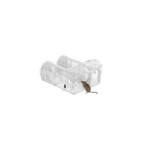 Sun Flowergb - Live Mouse Trap Mouse Trap Mouse Trap Mouse Catcher Dormouse Mouse Shrew Humane and Kill Mouse Trap Mouse Trap Mouse Trap Humane Barty