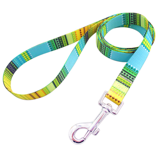 Dog Leash, Stylish Design with Durable Nylon Training Strap, 120 x 2 cm (Yellow)