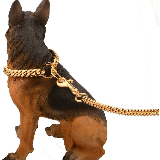 10mm Metal Dog Leash Dog Chain with Padded Handle with Padded Handle For Medium Dogs Pet Leash Gold