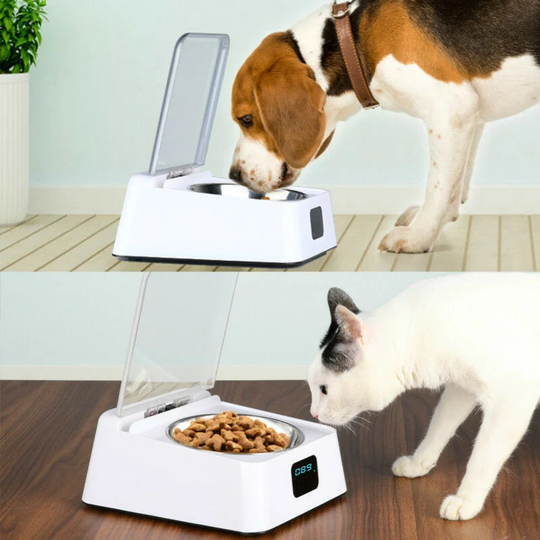 5G Infrared Automatic Opening Bowl Prevent Cockroache Mouse Pet Infrared Sensor Bowl Smart Feeder for Cats DogsWhite, 1 piece