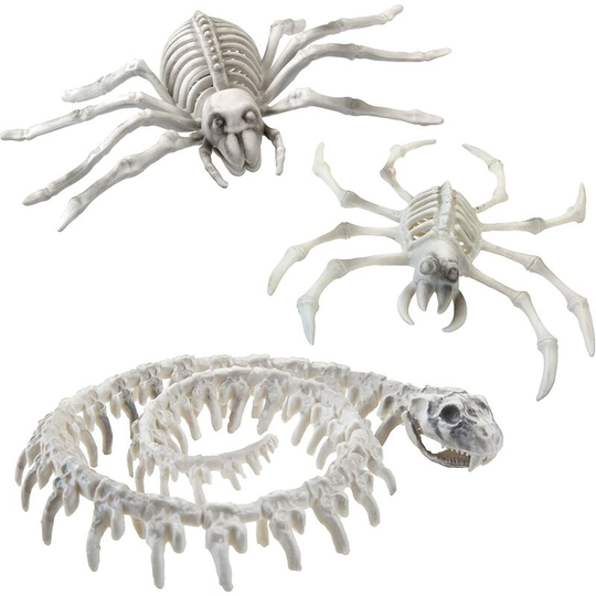 Vfm E-store - Halloween Animal Skeletons - Creepy Spooky Dead Creature Bones Spider & Snake