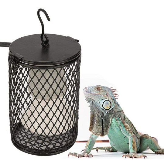 Heat Lamp Bulb, Ceramic Socket Heat Lamp, Heat Lamp with Cover Chick Birds Reptiles Kitten Puppy