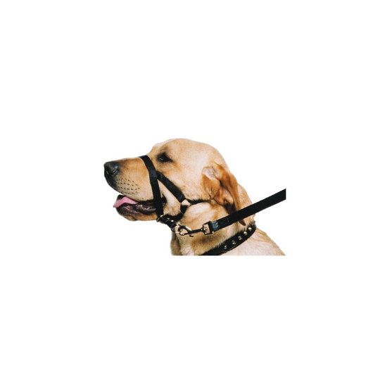 Ancol Nylon XL Size 7-9 Dog Training Halti Head Collar Non Pull Aid