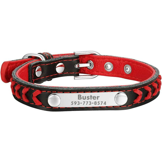 Personalized Red Leather Cat Collar, Adjustable Named Dog Collar with Nameplate/ID Tag