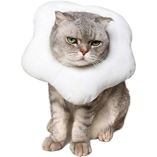 Perle Raregb - Adjustable chat electronic necklace, nice toast neck cone after surgery, cicative protective cone surgery to restore Queen Elizabeth