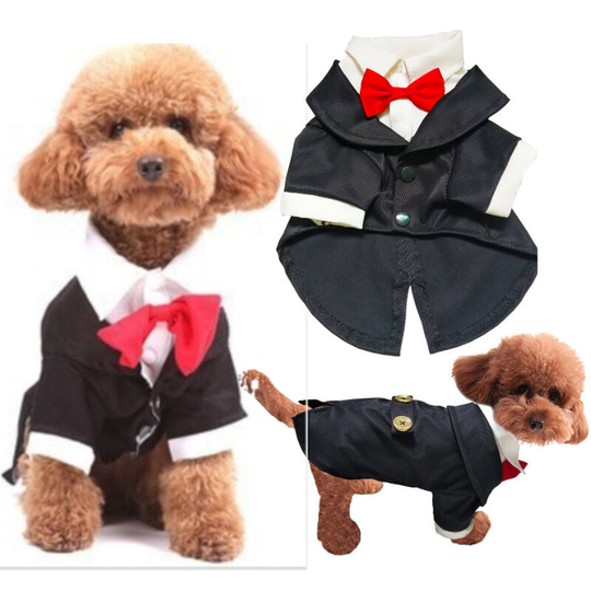Pet Suit Dress Pet Costume Dog Small Shape Dog Dress Wedding Suit Gentleman Dress, m (Chest 42', Back 27', Neck 28'), Black).