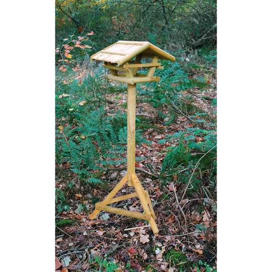 Allijah Decorative Bird Feeder