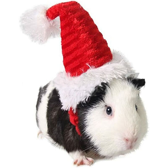 Pet Holiday and Christmas Hat, Pet Santa Hat Costume Christmas Collection Pet Accessory for Cat Rabbit Hamster Guinea Pig, Red