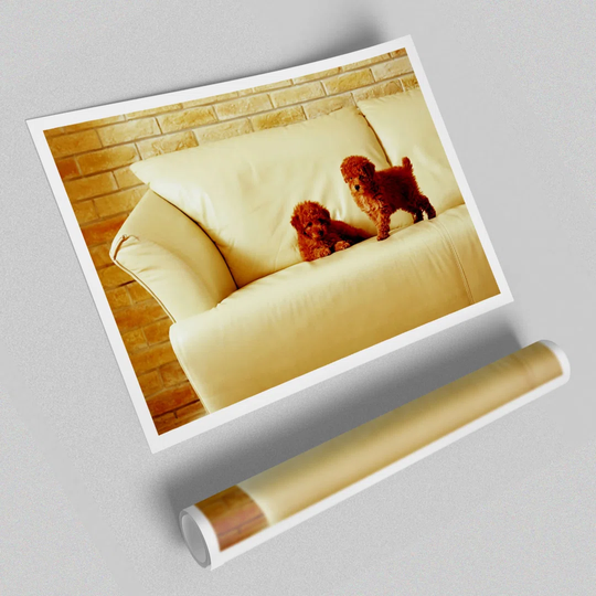Naughty Puppy Fun - Graphic Art Print on Paper