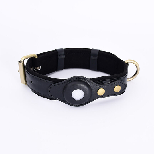 Dog Collar Compatible With Leather Dog Collar With Holder