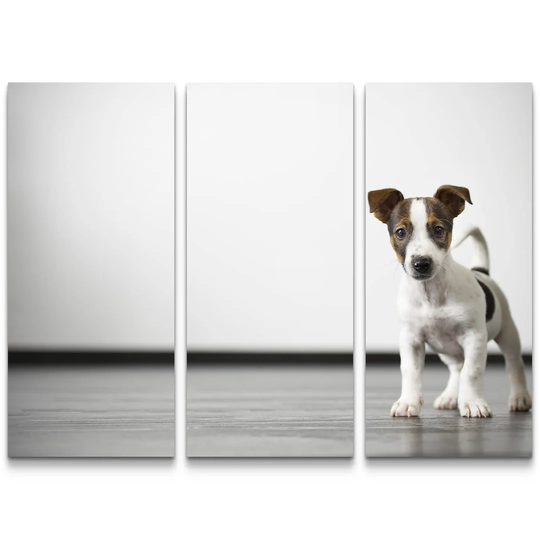 Curious Puppy in Front of a White Wall Photographic Art Print Multi-Piece Image on Canvas