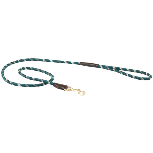 Rope Leather Dog Lead (1.2m) (Hunter Green/Brown) - Hunter Green/Brown - Weatherbeeta