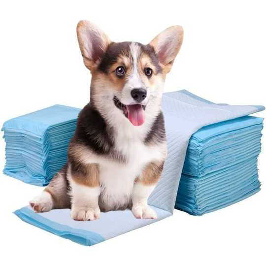 Dogs Hygienic Mat, 20 Pack Potty Training Mats for Puppy Pet Pads, 60 x 90, Pet Cleaning Tool