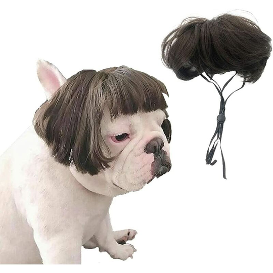 Perle Rare - Pet Wig, Pet Dog Costume Puppy Wig Cosplay Clothes Dress Up Party for Kitten Puppy Rabbit Hamster Guinea Pig Rats Dog Cat Small Animals
