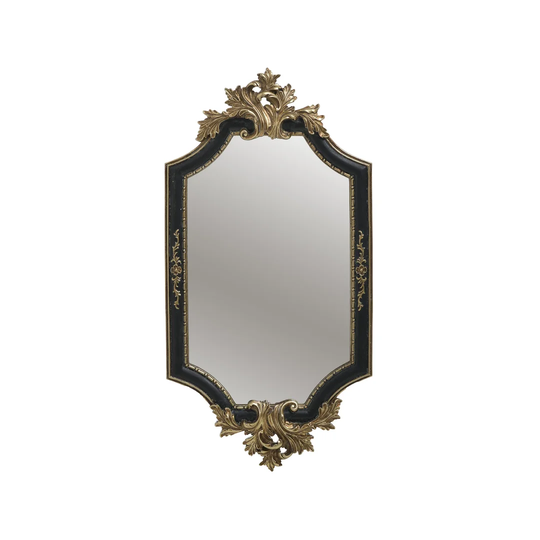 Adabella Octagon Resin Framed Wall Mounted Accent Mirror in Black