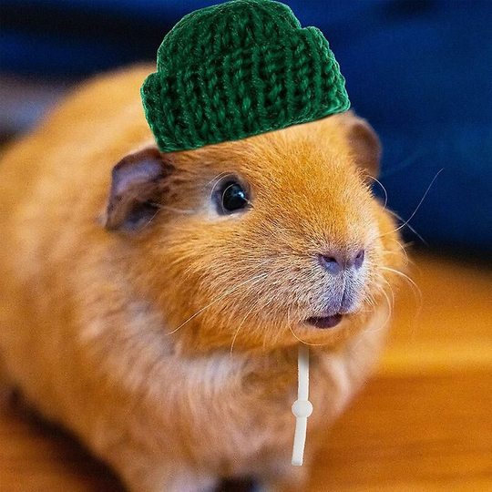 10pcs Hamster Hat And Guinea Pig Hat Small Animal Outfit Suit Cosplay For Rats Sugar Glider Chinchilla Ferret Hedgehogs Pet Hats - Thsinde