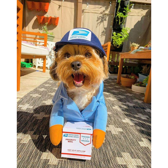 Usps Dog Courier Carrier Costume, Fun Courier Turned into Pet Dog, Medium Cat Large Dog, Halloween Day Decoration Supplies (1 Pack, m)