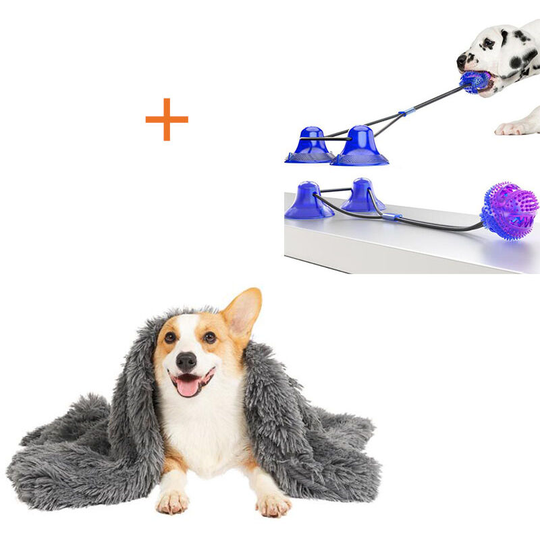 Very Soft and Thick Shu Velveteen Dog Mat Blanket, Warm and Washable Pet Blanket + Tooth Bite Resistant Toys