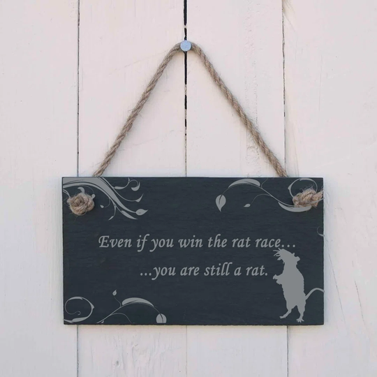 Even If You Win the Rat Race Sign