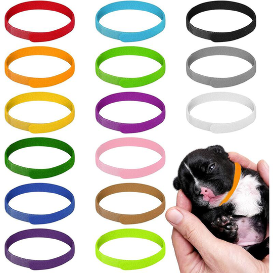 15pcs Puppy Collar, Identification Collars for Puppies and Kittens