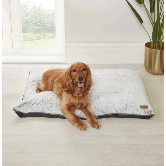 Pet Pad