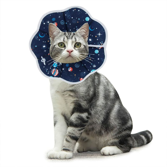 Anti-Bite Cat Collar Protection Adjustable Conical Comfort Recovery Collar for Cats and Puppies, Blue Size 16cm-23cm