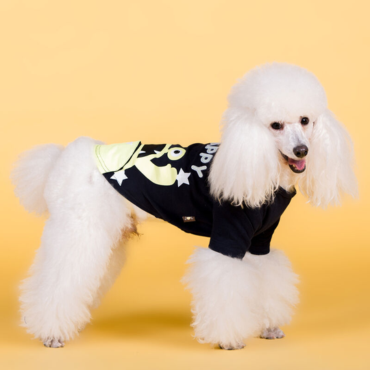 Small dog clothes autumn and winter new cotton stretch dog clothing Fatou Teddy pet clothing m (chest - 40 'back length 26' neck circumference 30,