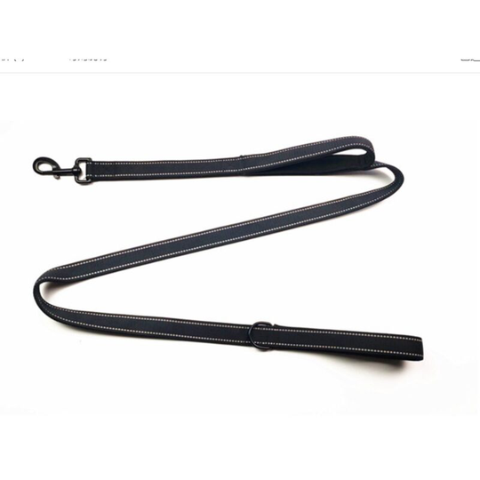 Reflective Leash For Dog with Padded Handle and Metal Hook, 1.5 mx 2.5 cm Nylon Leaves for Medium and Great Dogs, Black