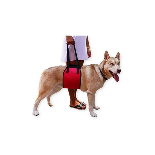 Dog Support Dog Lift Support Harness l