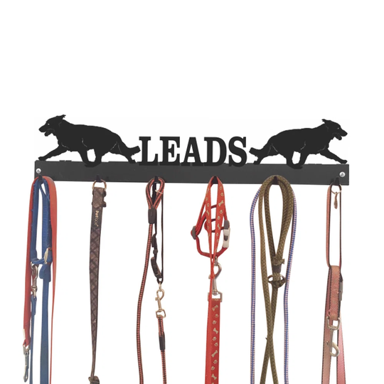 Alezae Wall Mounted Coat Rack