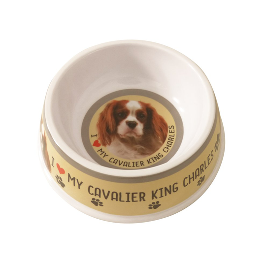 Cavalier King Charles Spaniel Dog Bowl | Cavalier King Charles Dog Dish