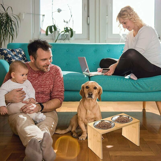 Monly - Elevated Bowls for Large Dogs and Cats, Elevated Food and Water Rack, Wooden Elevated Bowls with 2 Bowls, 40*22*18cm