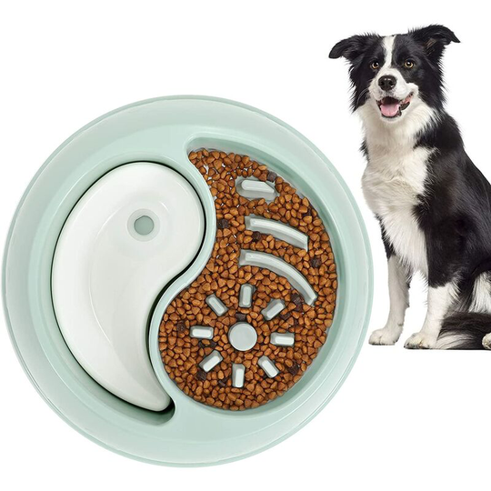 Slow Feeder Dog Bowl, Food Water 2 in 1 Bowl, Reduce Slip, Anti-Gulping Slow Eating Bowl, Slow Feeder for Fast Eaters, Stop Bloat No Choking Bowl for