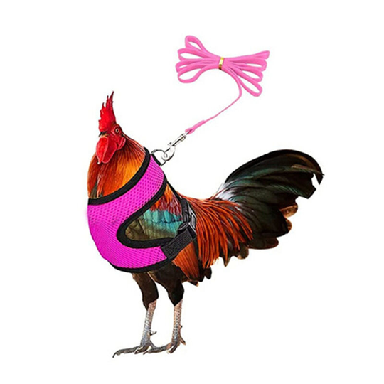 Chicken Harness with Leash, Adjustable Chicken Leash for Chickens, Ducks, Puppies, Breathable and Comfortable Pet Harness (Pink, S, 1 Pack)