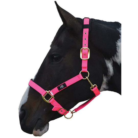 Hy Deluxe Padded Head Collar (Pony) (Hot Pink) - Hot Pink