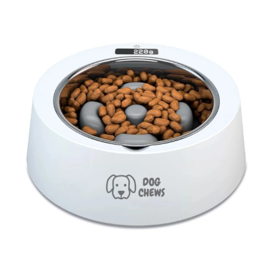 Smart Pet Feeding Bowl