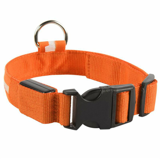 Pet Light Up led Collar Dog Leash, Silk Mesh Nylon Light-emitting Small Collar, Water-Resistant Glow in The Dark Dog Collars