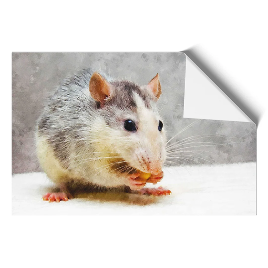 Rat - Unframed Graphic Art