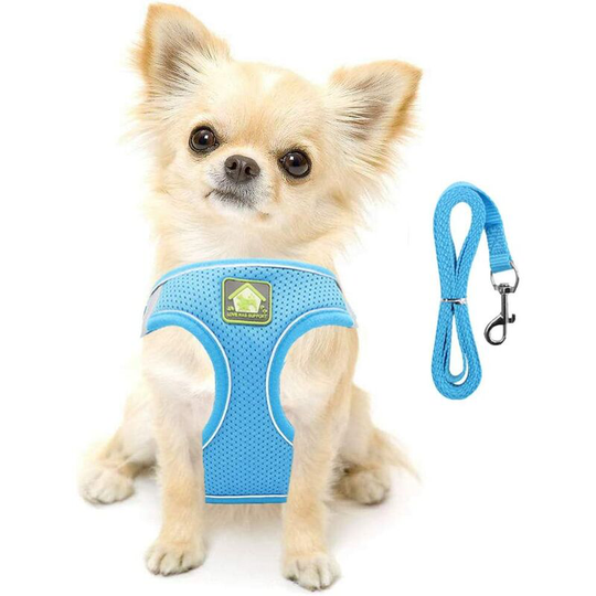 Small Dog Cat Harness Vest Harness Soft Reflective Mesh Adjustable Puppy Vest and Leash Set for Small and Medium Sized Dogs (Blue,XS)